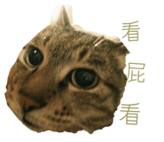 874740801