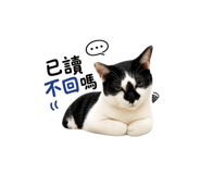 874756898
