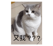 874762311
