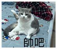 874762322