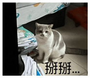 874762326