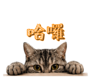 874767850