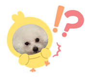 874775334