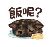 874778149