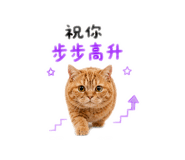 874784282