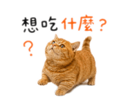 874784697