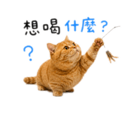 874784698