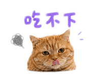 874784706