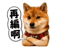 874788007