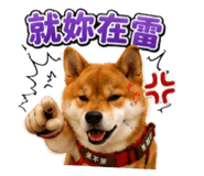 874788008
