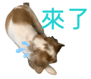 874803969