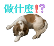 874803980