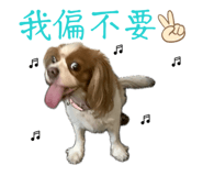 874803981