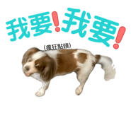 874803983