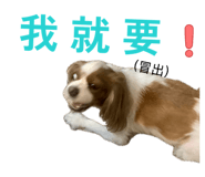 874803984