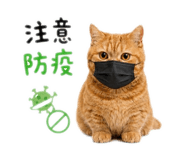 874804296