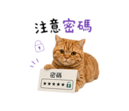 874804303