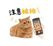 874804304