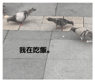 874811554