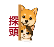 874811746