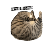 874811851