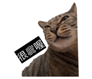 874811853