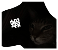 874811856