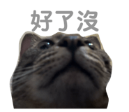 874811864