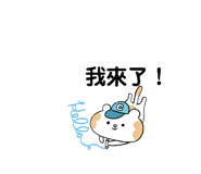 874812213