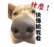 874812498