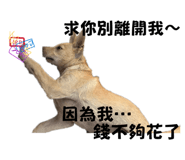 874812503