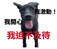 874812507