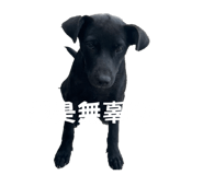 874812508