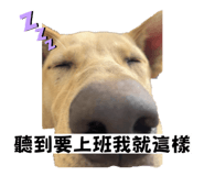 874812509