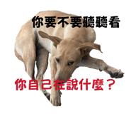 874812518
