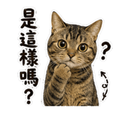 874812865