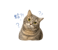 874813045