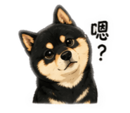 874813443