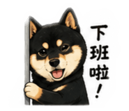 874813449