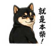874813456