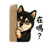874813462