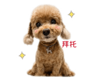 874813553