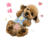 874813592