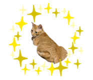 874814032