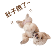 874814168