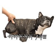 874814598