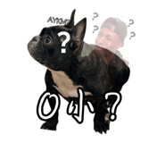 874814600