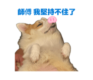 874816053