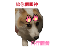 874816056