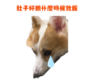 874816059